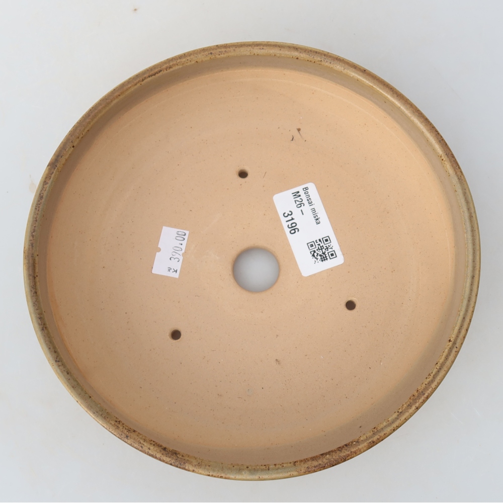 Ceramic bonsai pot, 17.5 x 17.5 x 5.5 cm, beige