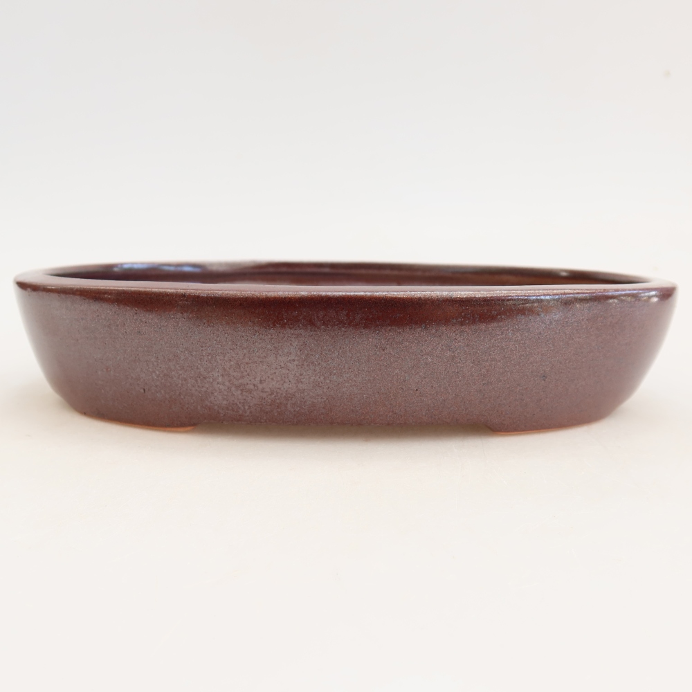 Ceramic bonsai pot, 22 x 17 x 4 cm, burgundy