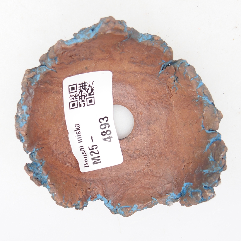 Ceramic Shell 7 x 7 x 3,5 cm, color blue