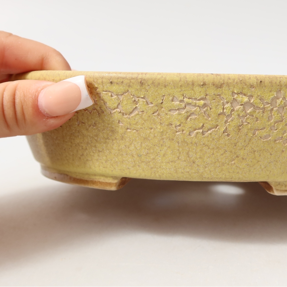 Ceramic bonsai pot, 18.5 x 16.5 x 4.5 cm, yellow