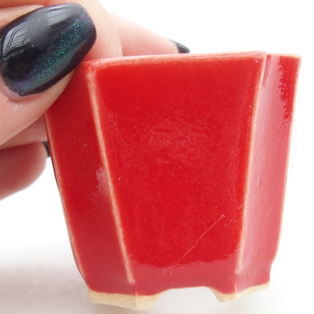 Mini bonsai bowl 4,5 x 4,5 x 4 cm, colour red