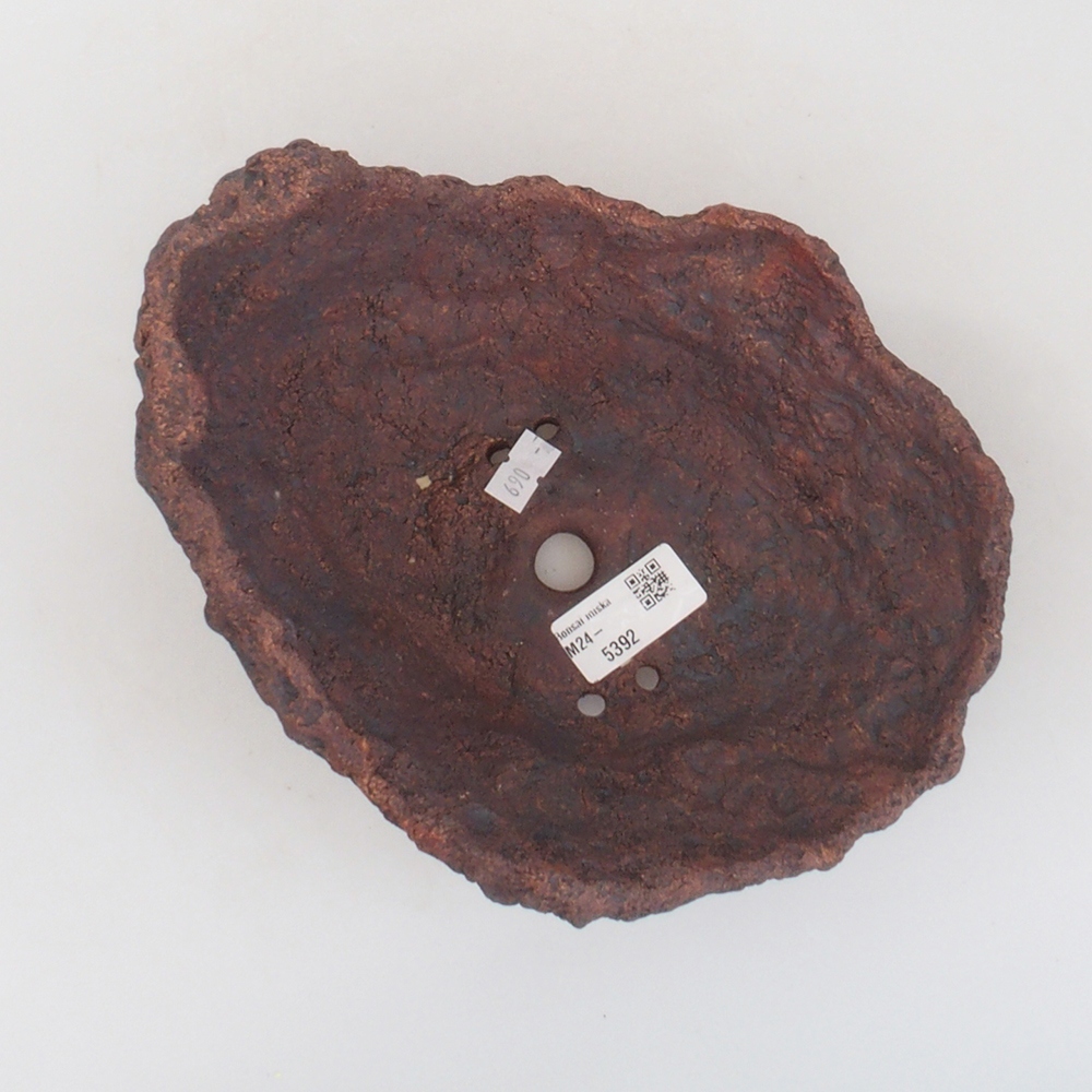 Ceramic shell 18 x 15 x 18 cm, brown color