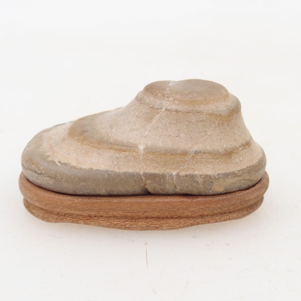 Suiseki - Stone with DAI (wooden pad)