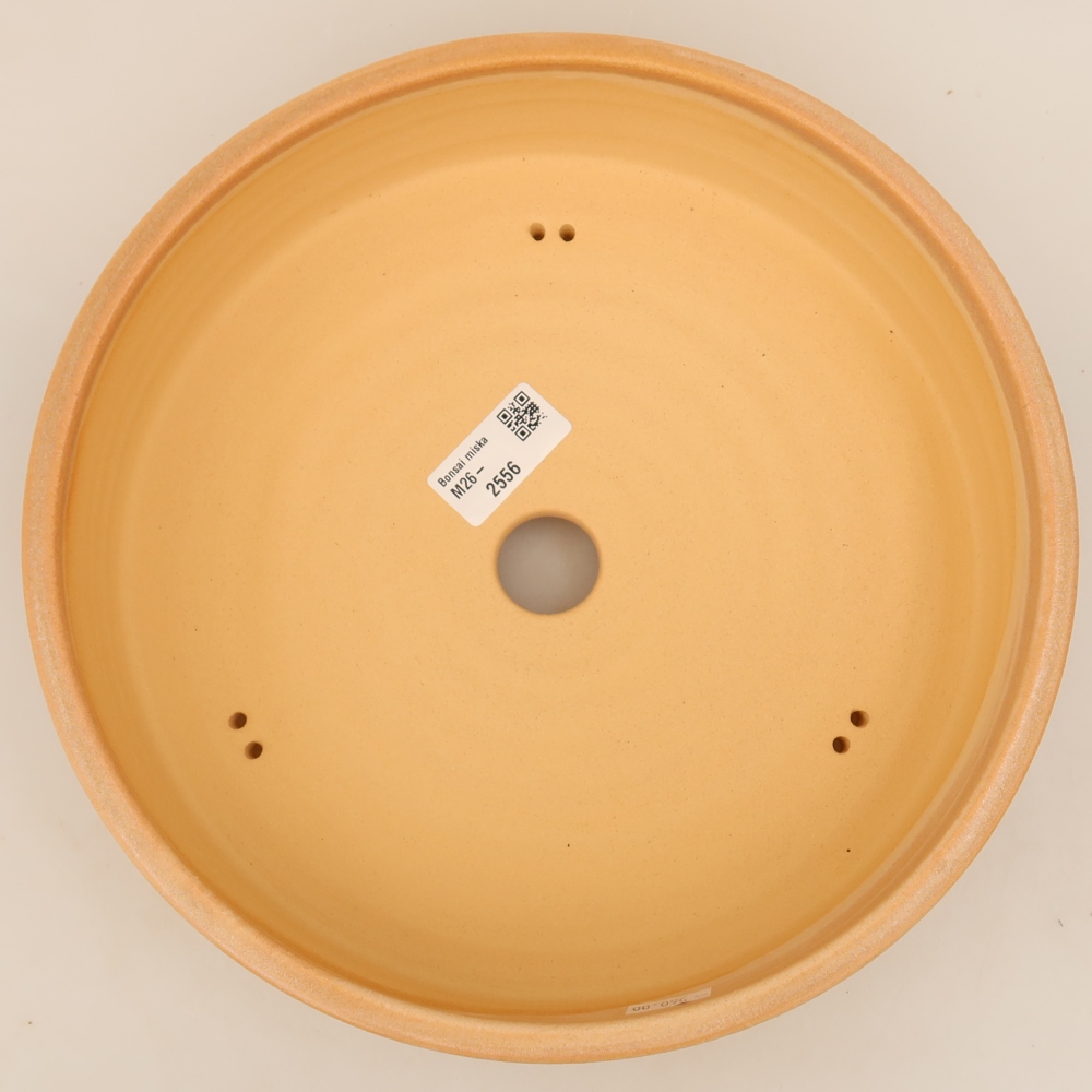 Ceramic bonsai pot, 26 x 26 x 6.5 cm, beige