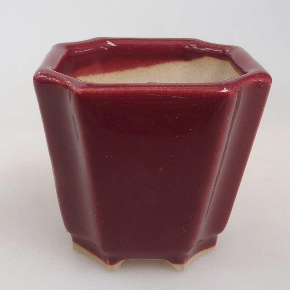 Mini bonsai bowl 4 x 4 x 4 cm, color burgundy