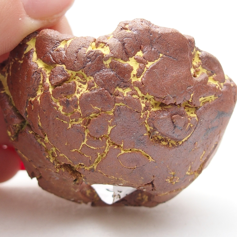 Ceramic Shell 5,5 x 5 x 4 cm , colour yellow