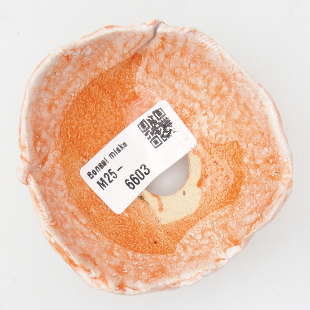 Ceramic Shell 8 x 8 x 4,5 cm , colour orange