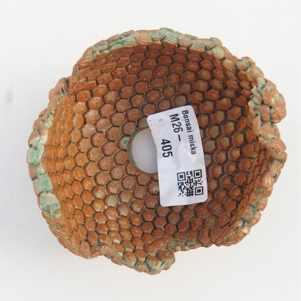 Ceramic Shell 8 x 8 x 6 cm , colour brown-green