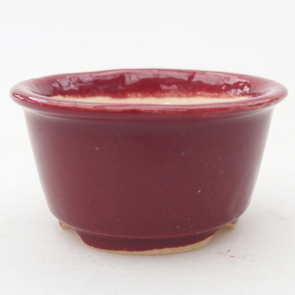 Mini bonsai bowl 4,5 x 4,5 x 2,5 cm, burgundy