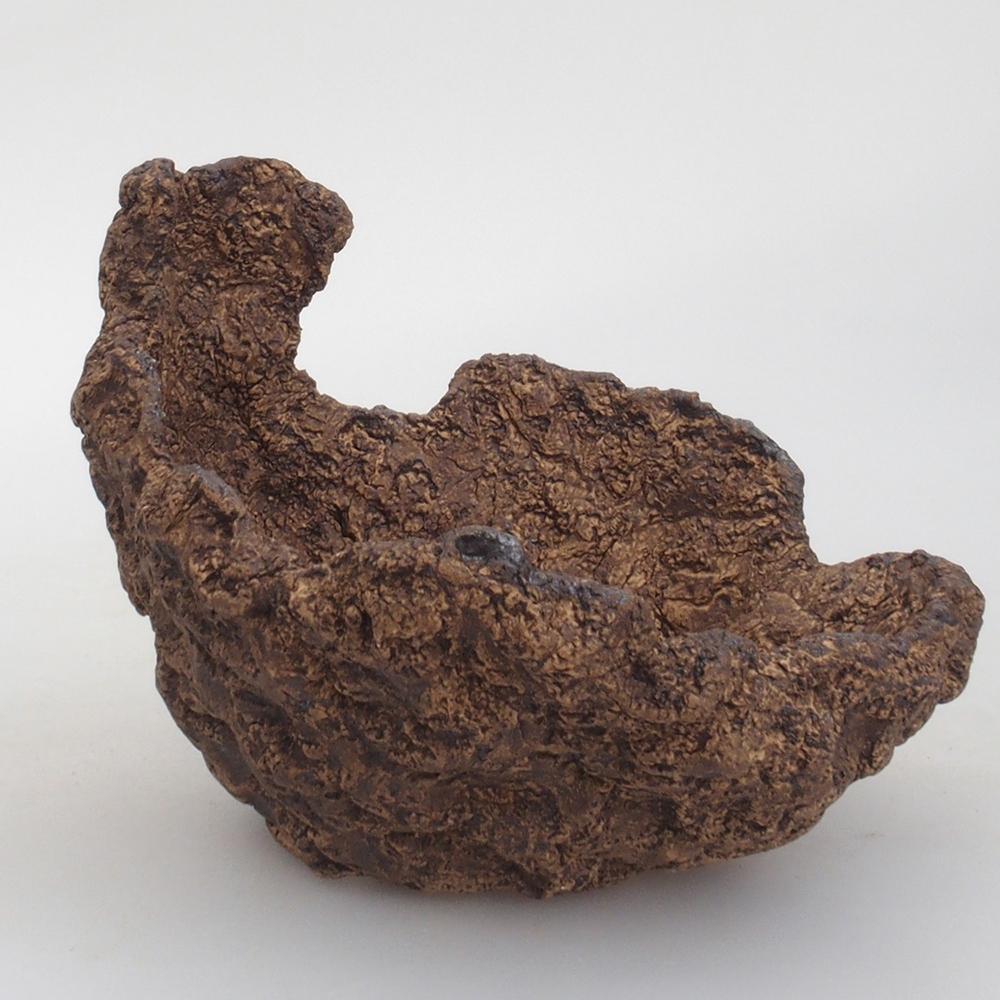 Ceramic shell 13 x 12 x 12 cm, brown color