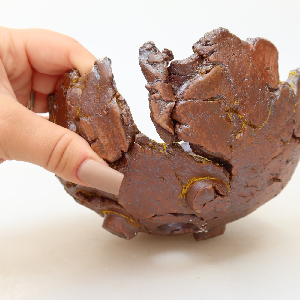 Ceramic Shell, 14 x 14 x 8.5 cm, yellow