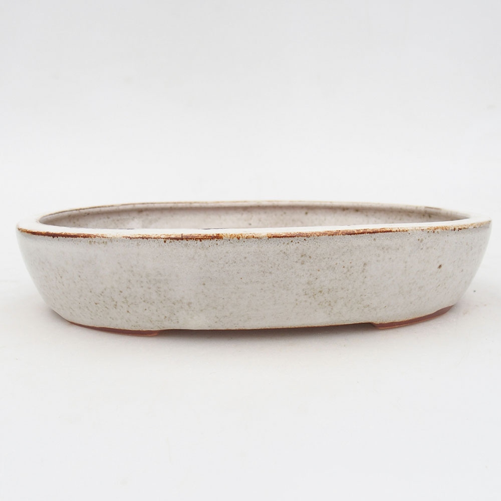 Ceramic bonsai bowl 22 x 17 x 4 cm, white