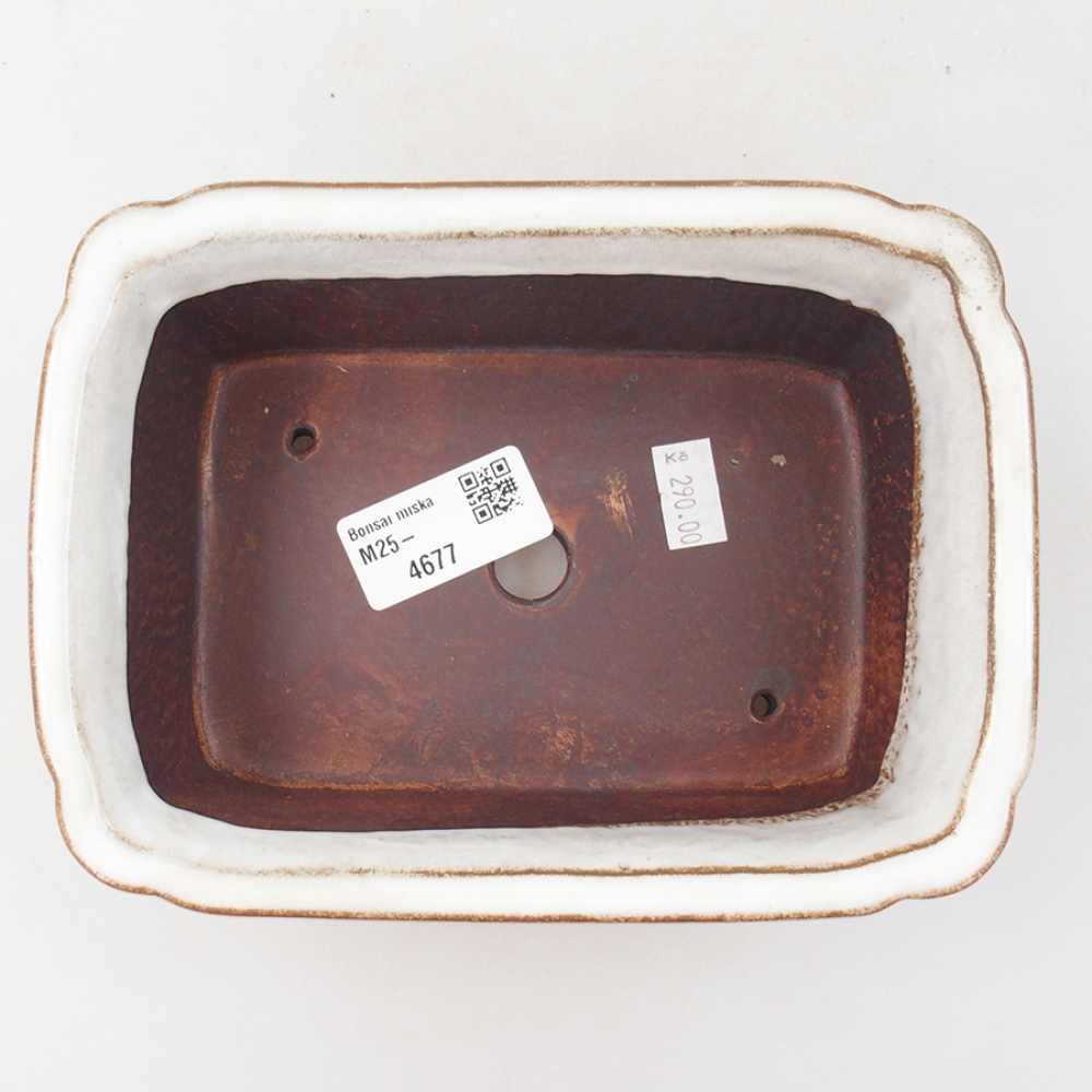 Ceramic bonsai bowl 17 x 13 x 6 cm, color white