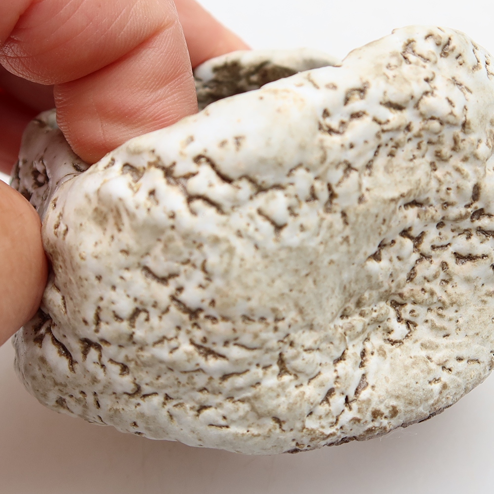 Ceramic Shell, 6 x 6 x 5 cm, brown-white