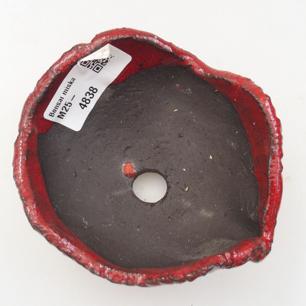 Ceramic shell 9 x 8 x 5 cm, color red