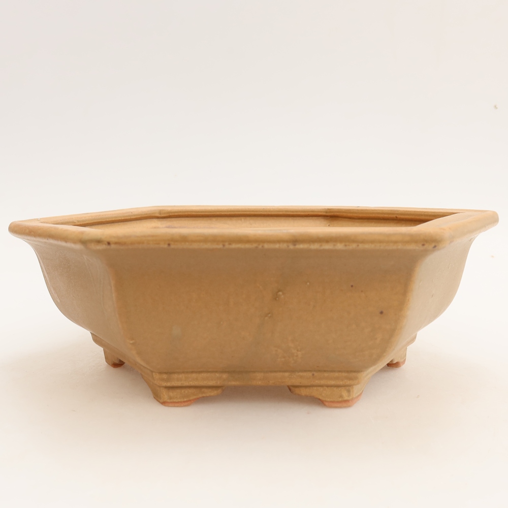 Ceramic bonsai pot, 24 x 21.5 x 7.5 cm, beige