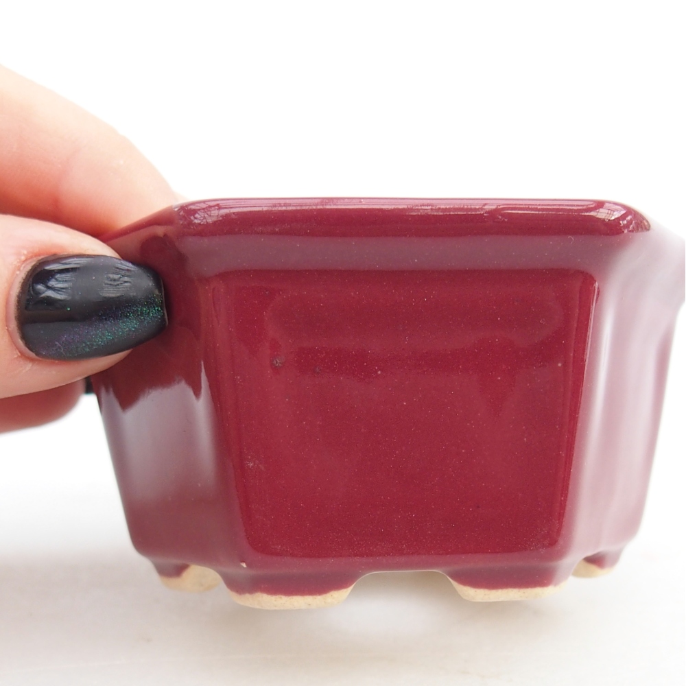 Mini bonsai bowl 8 x 7 x 4 cm, burgundy