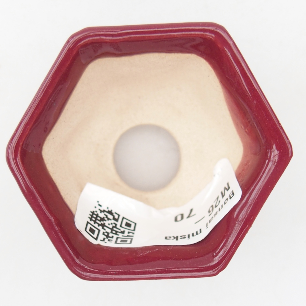Mini bonsai bowl 5 x 4,5 x 3 cm, burgundy