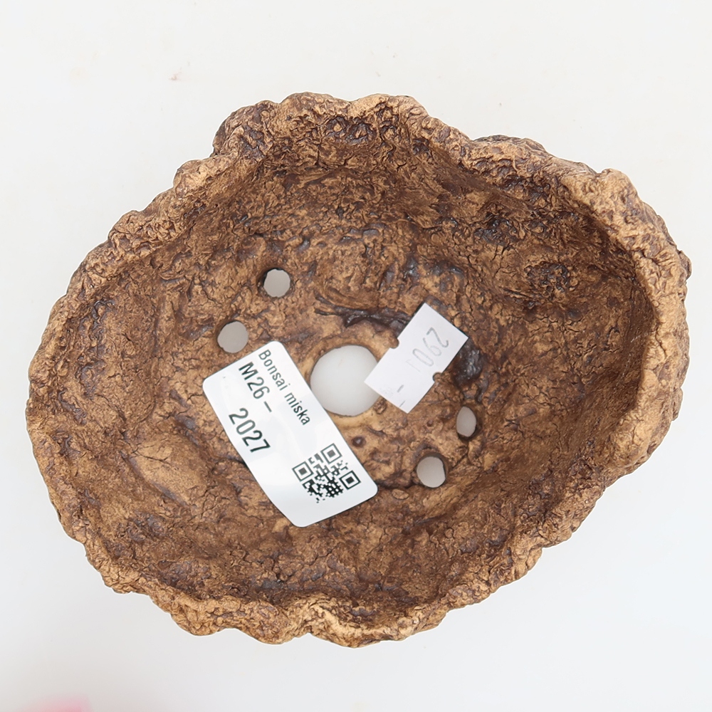 Ceramic Shell, 10 x 9 x 8 cm, brown