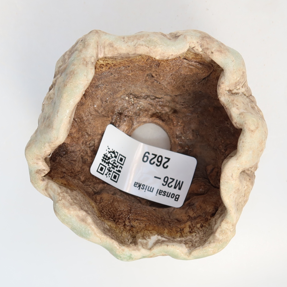 Ceramic Shell, 8 x 7 x 5.5 cm, green