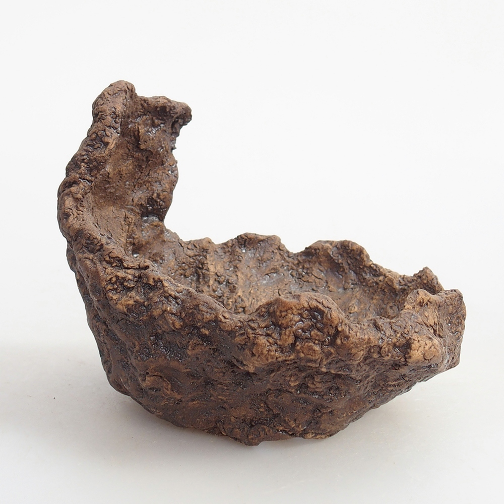 Ceramic Shell 10 x 9 x 9 cm , colour brown