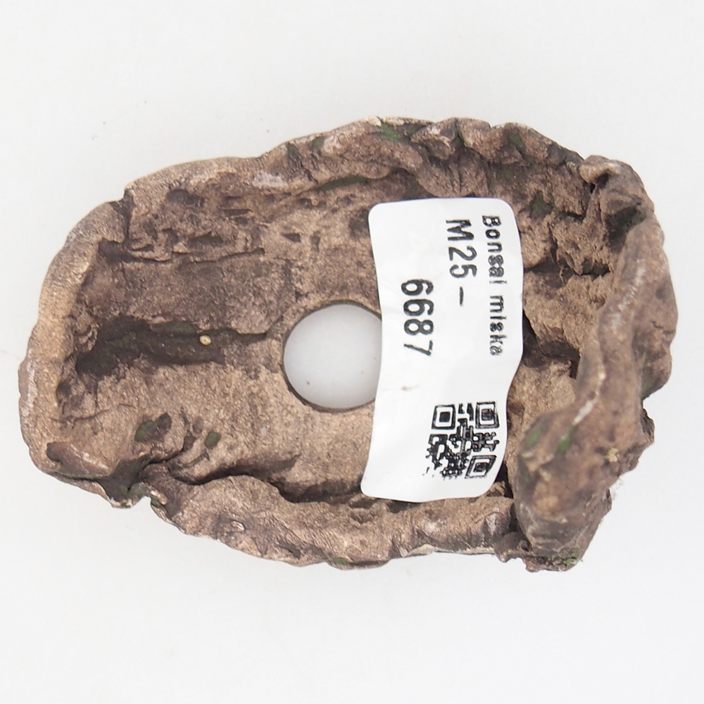 Ceramic Shell 6,5 x 5,5 x 6 cm , colour green