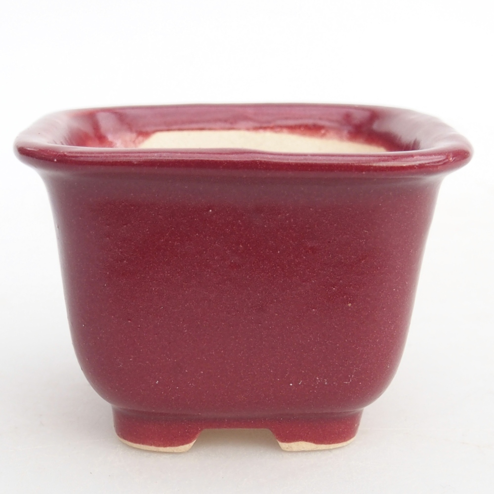 Mini bonsai bowl 6 x 6 x 4,5 cm, burgundy