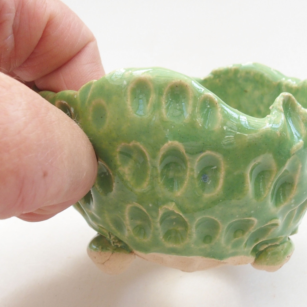 Ceramic shell 7 x 7 x 5 cm, color green