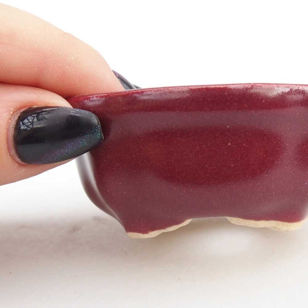 Mini bonsai bowl 6,5 x 6,5 x 3 cm, burgundy