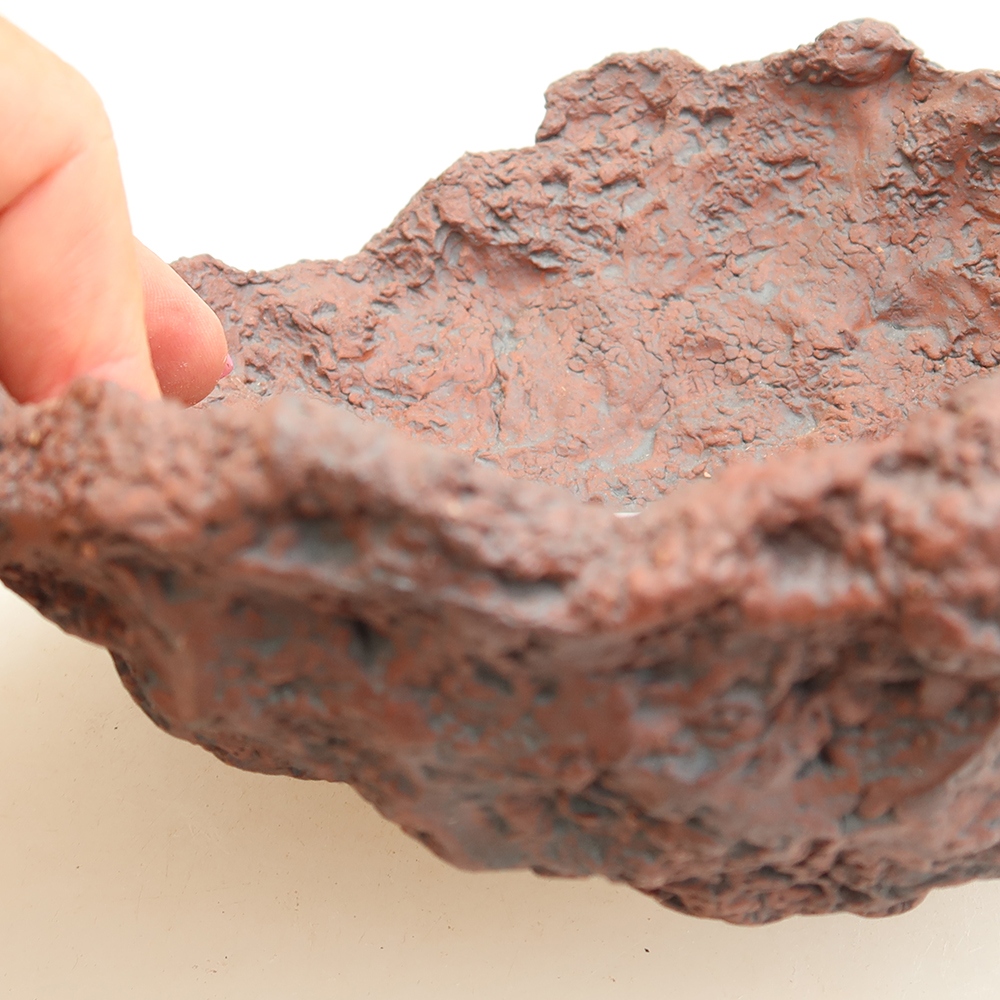 Ceramic Shell, 15 x 15 x 10.5 cm, brown