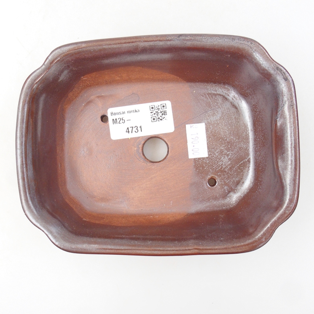 Ceramic bonsai bowl 16 x 12 x 5 cm, color brown