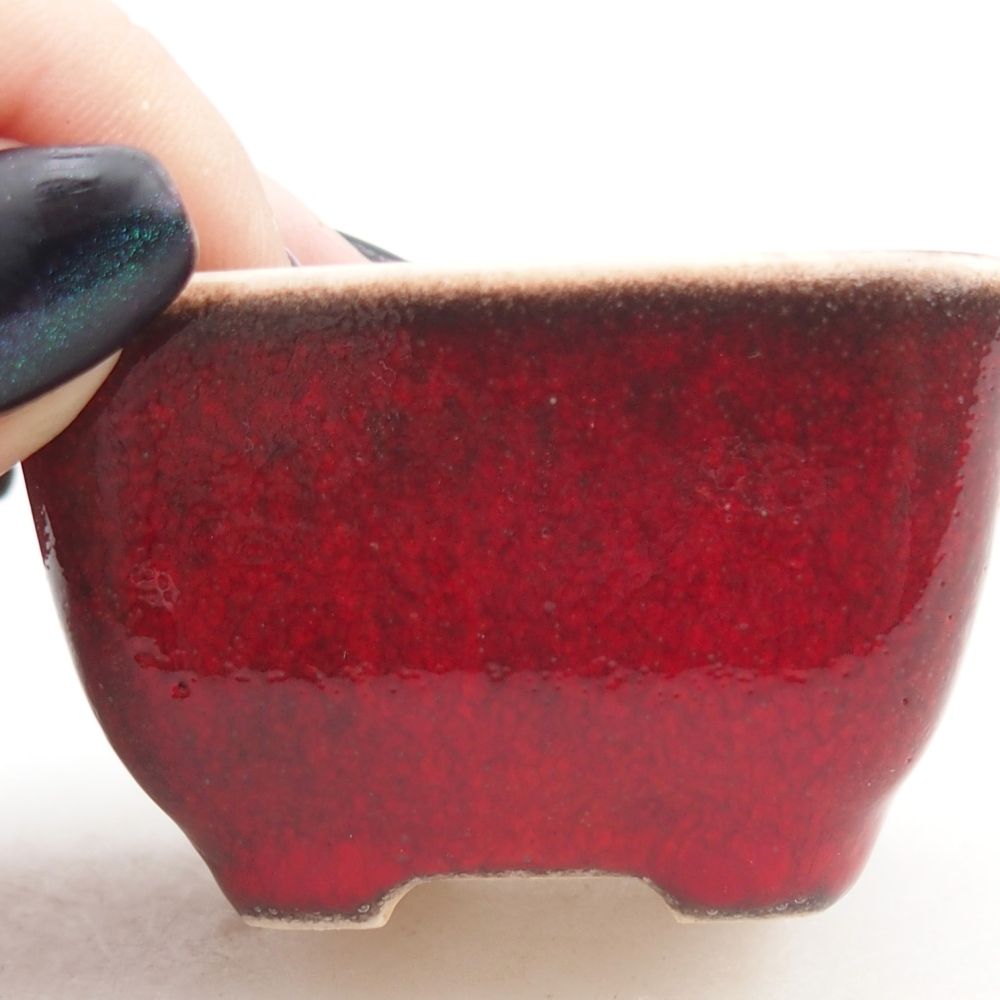 Mini bonsai bowl 5 x 5 x 3 cm, colour red