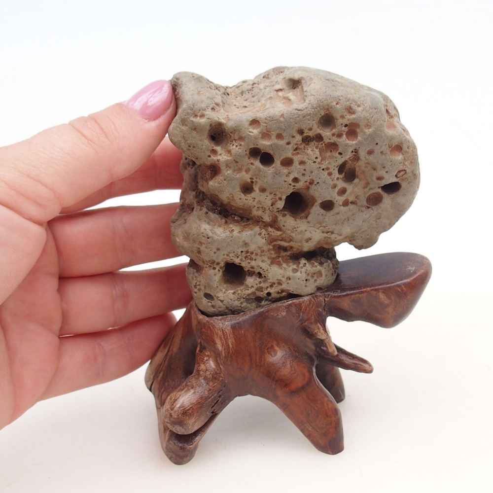 Suiseki - Stone with DAI (wooden pad)