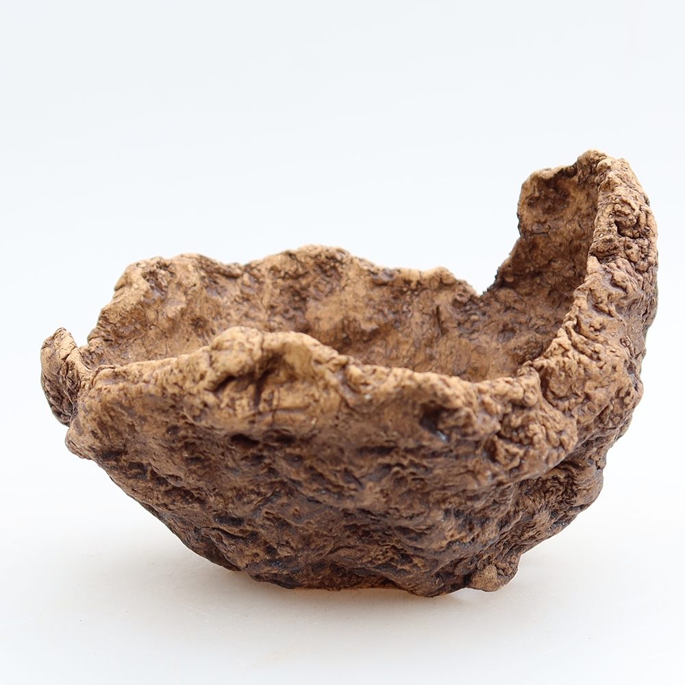 Ceramic Shell 10 x 9,5 x 8 cm , colour brown