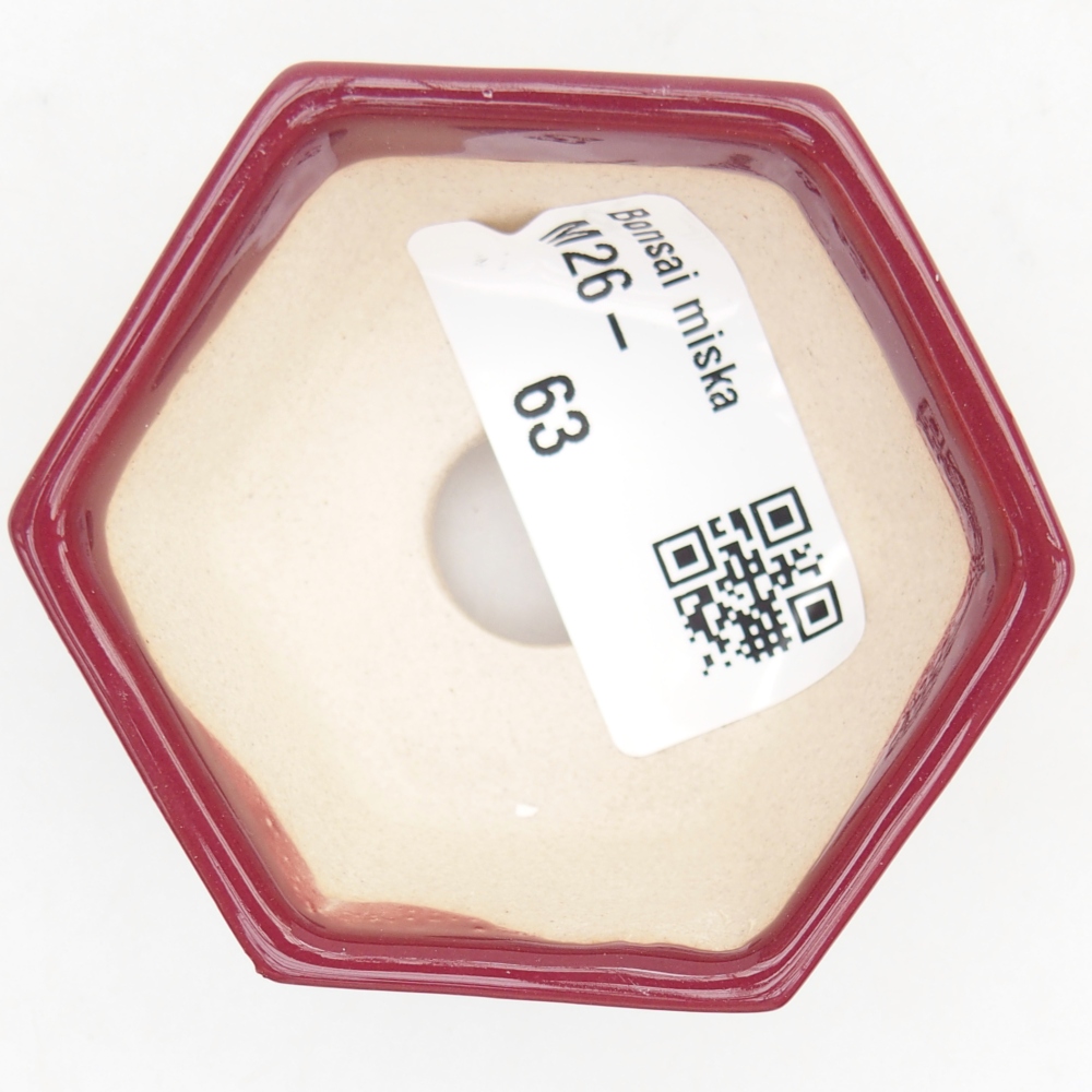 Mini bonsai bowl 6 x 5,5 x 2,5 cm, burgundy