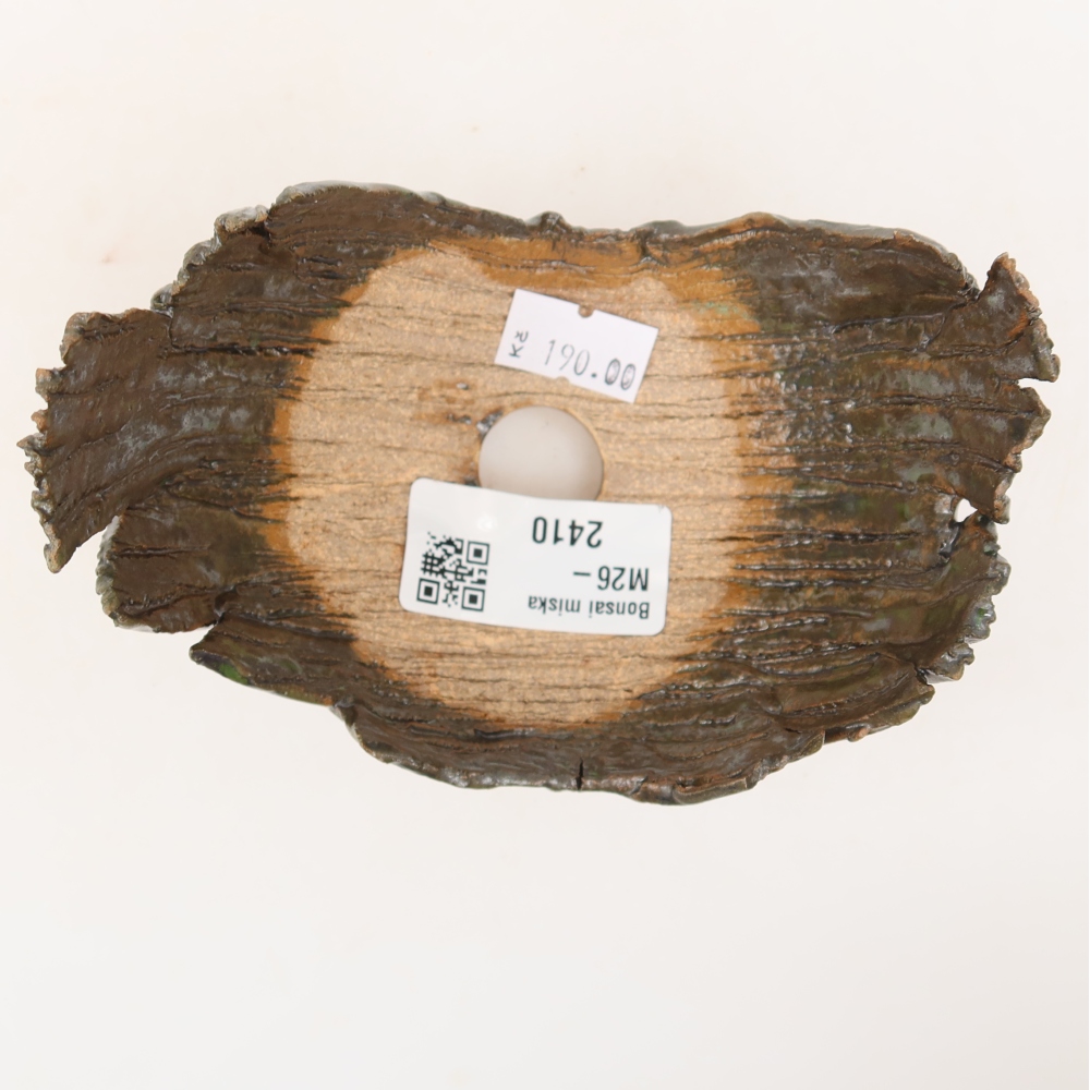 Ceramic Shell  11.5 x 8 x 8 cm, brownish-green