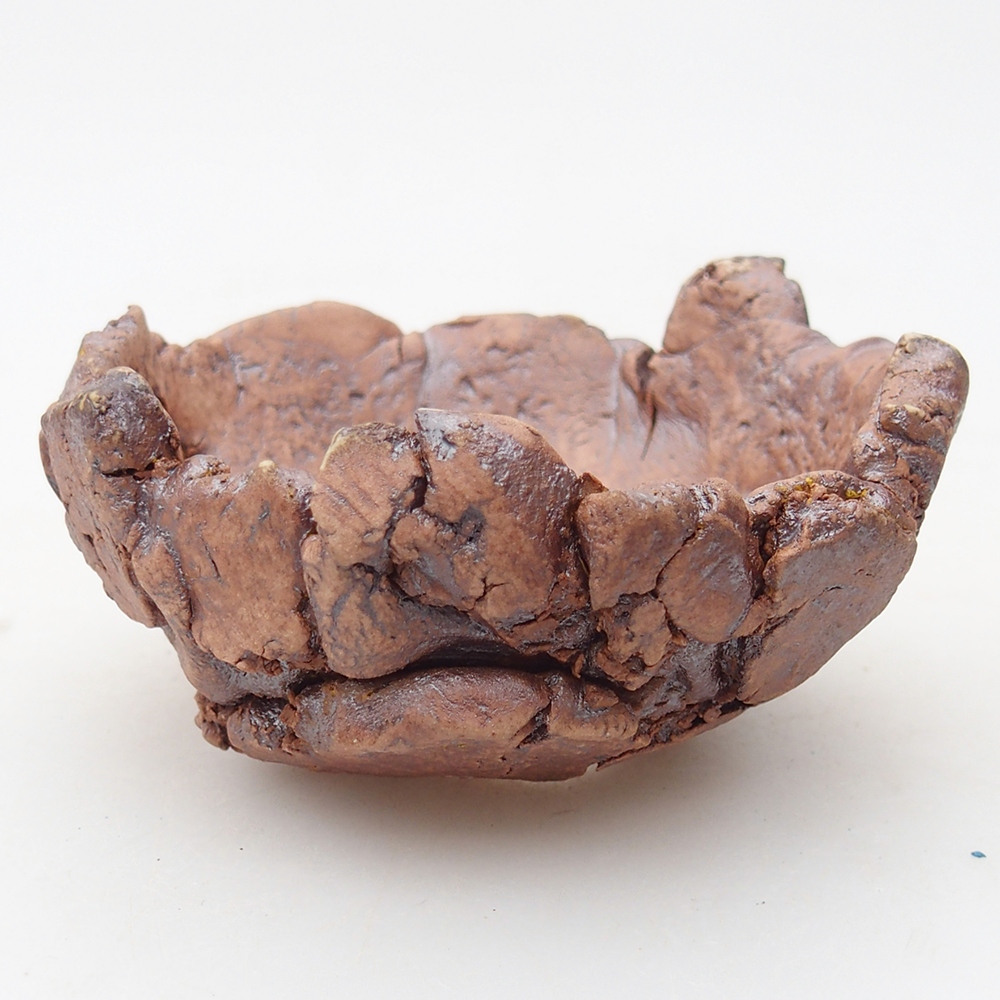 Ceramic Shell 9 x 9 x 4,5 cm , colour brown