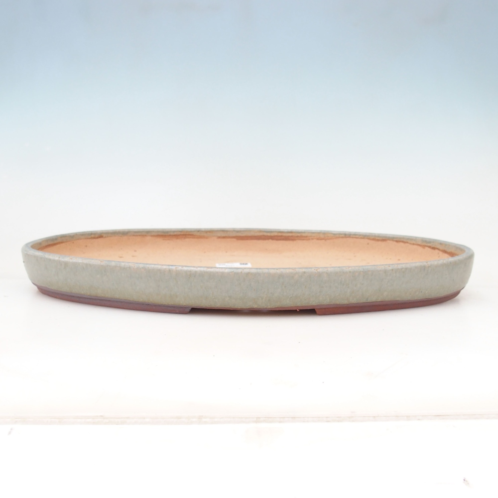Bonsai bowl 48 x 31 x 4,5 cm , grey colour - PERSONAL COLLECTION ONLY or pallet transport
