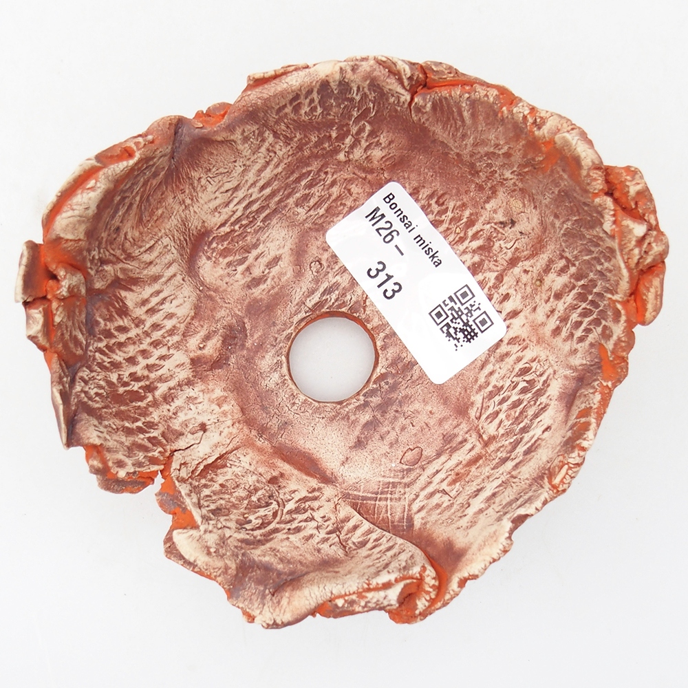 Ceramic Shell 11 x 11 x 6 cm , colour orange