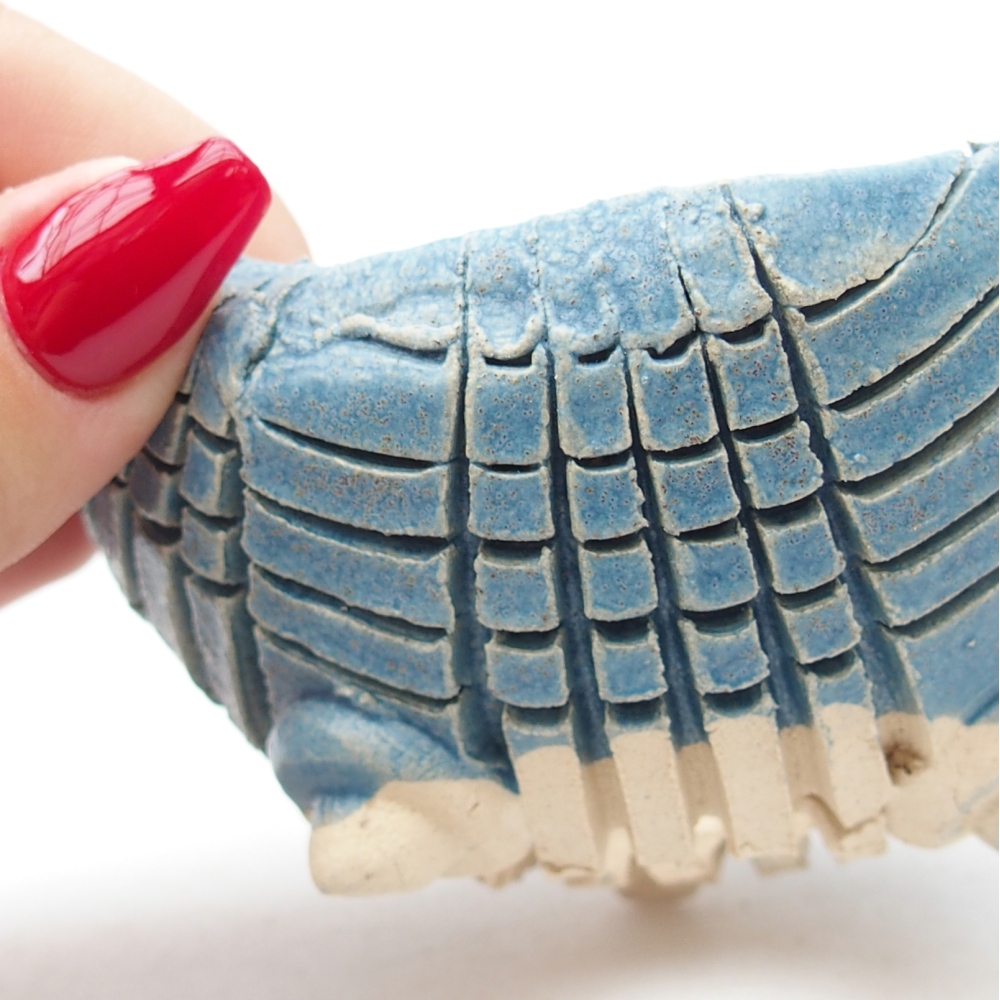 Ceramic Shell 9 x 9 x 5 cm , colour blue