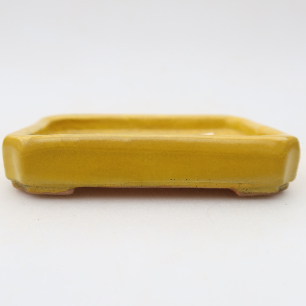 Ceramic bonsai pot, 10 x 8 x 2 cm, yellow