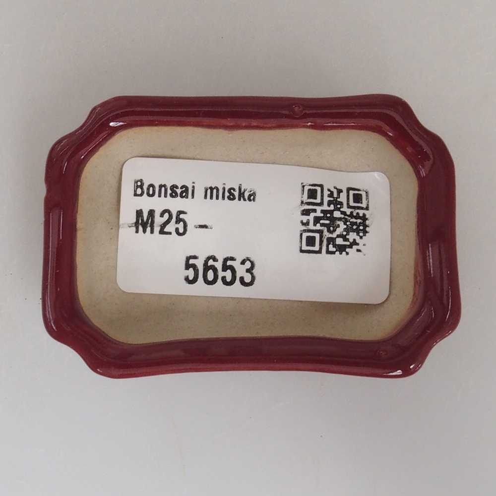 Mini bonsai bowl 5,5 x 3,5 x 1,5 cm, color burgundy