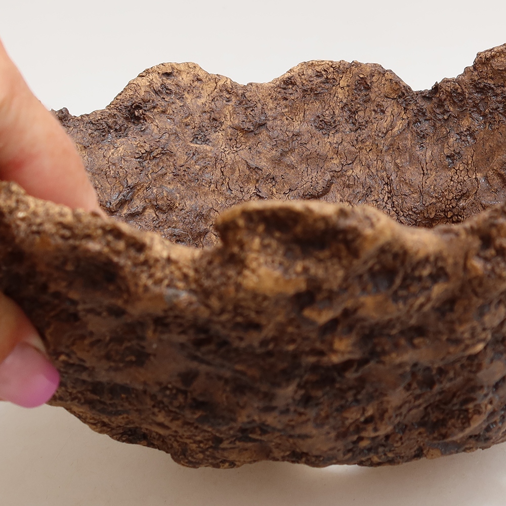 Ceramic Shell, 22.5 x 18 x 16 cm, brown
