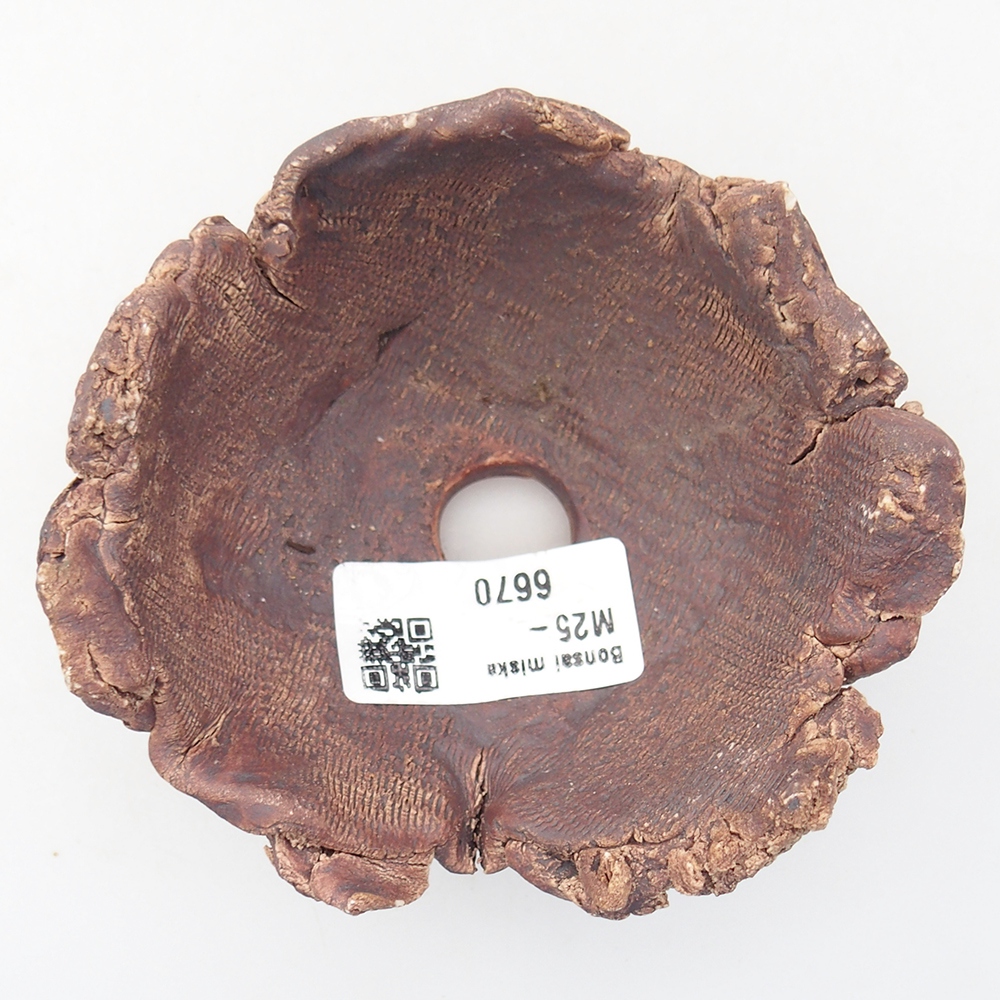 Ceramic Shell 10 x 9,5 x 6 cm , colour brown