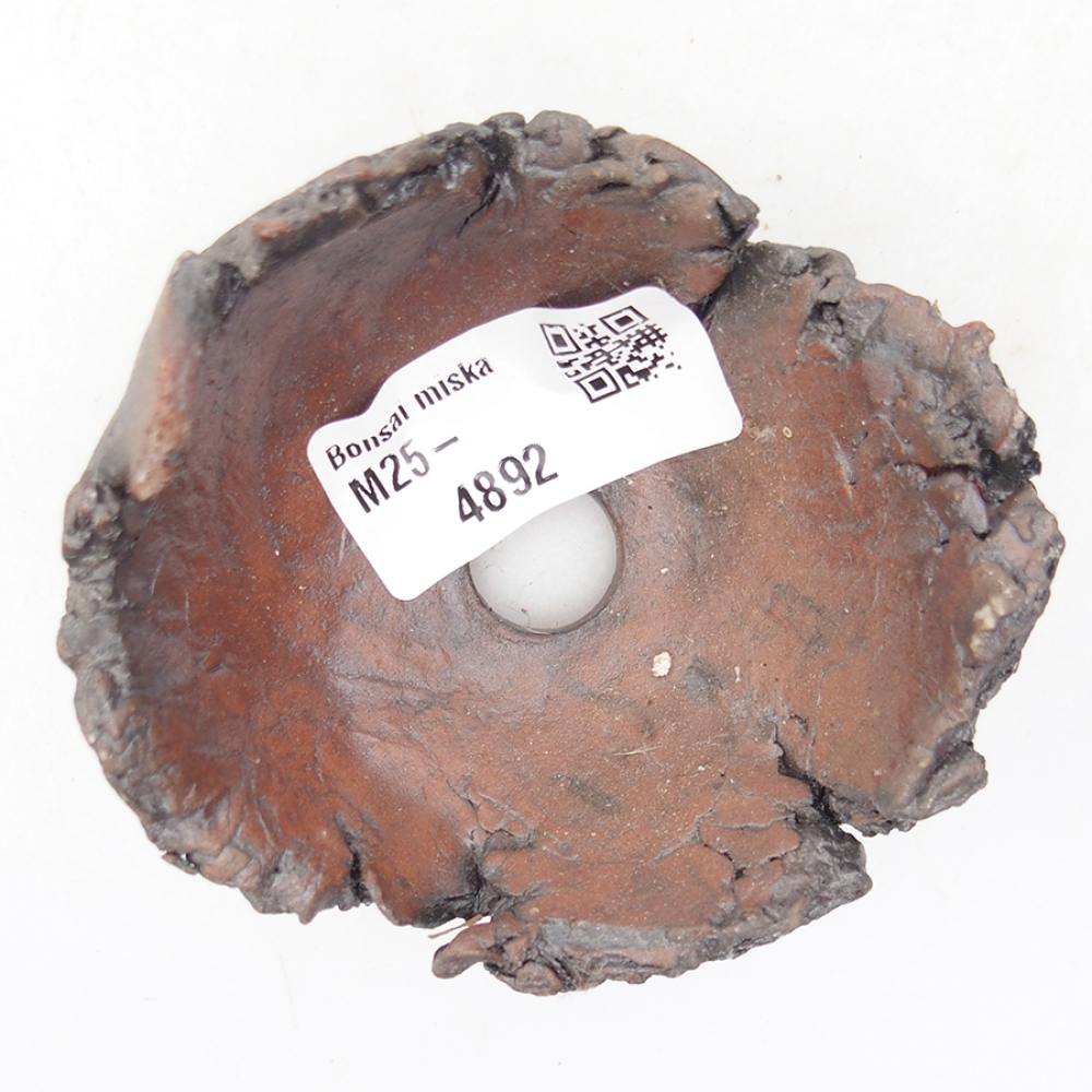 Ceramic shell 7 x 8 x 5.5 cm, color brown