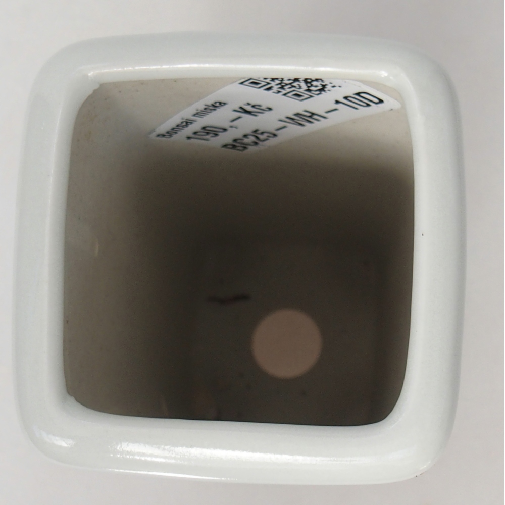 Ceramic bonsai bowl 5,5 x 5,5 x 12 cm, colour white