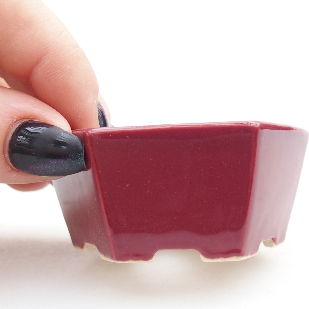 Mini bonsai bowl 6 x 5,5 x 2,5 cm, burgundy