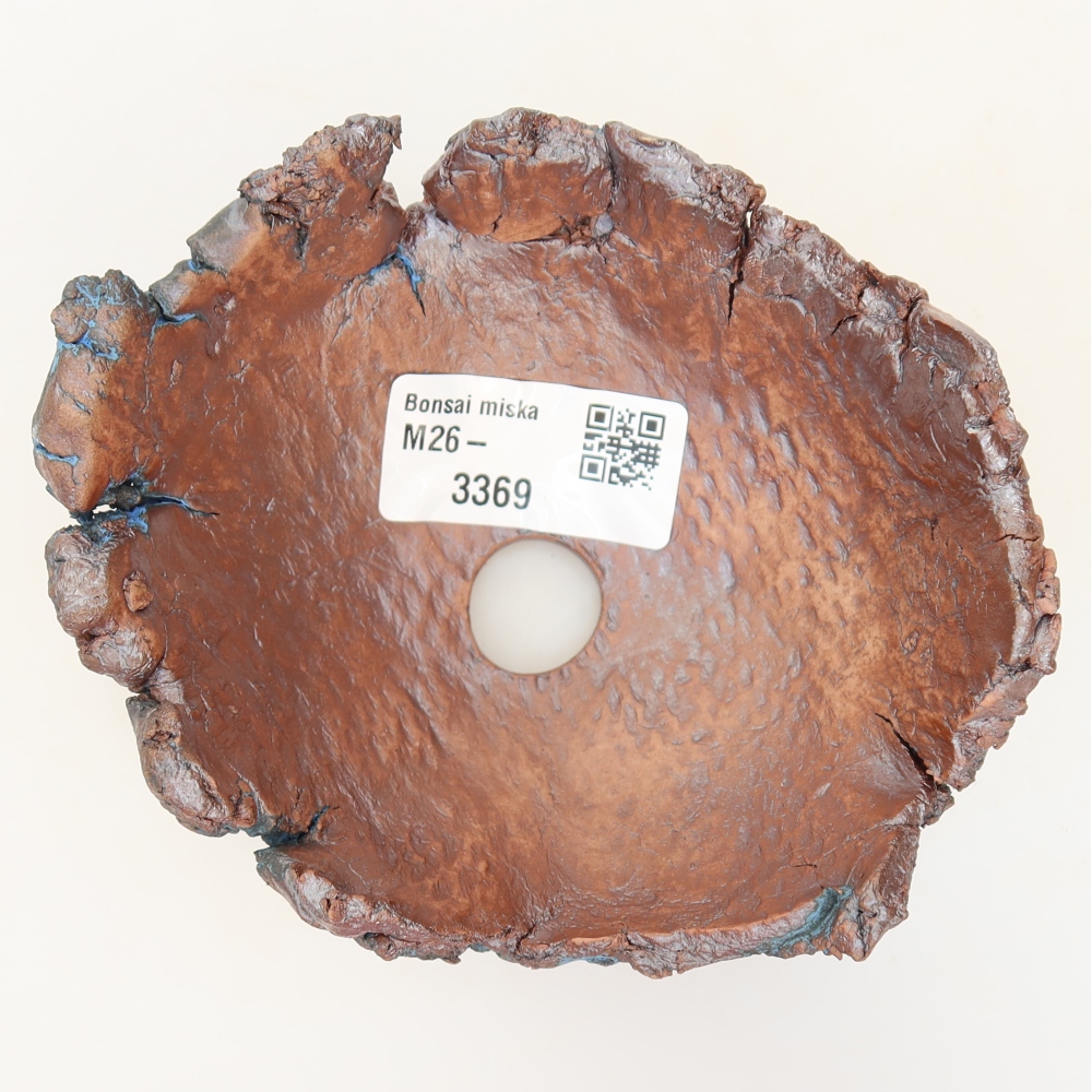 Ceramic Shell, 11.5 x 10 x 5.5 cm, blue