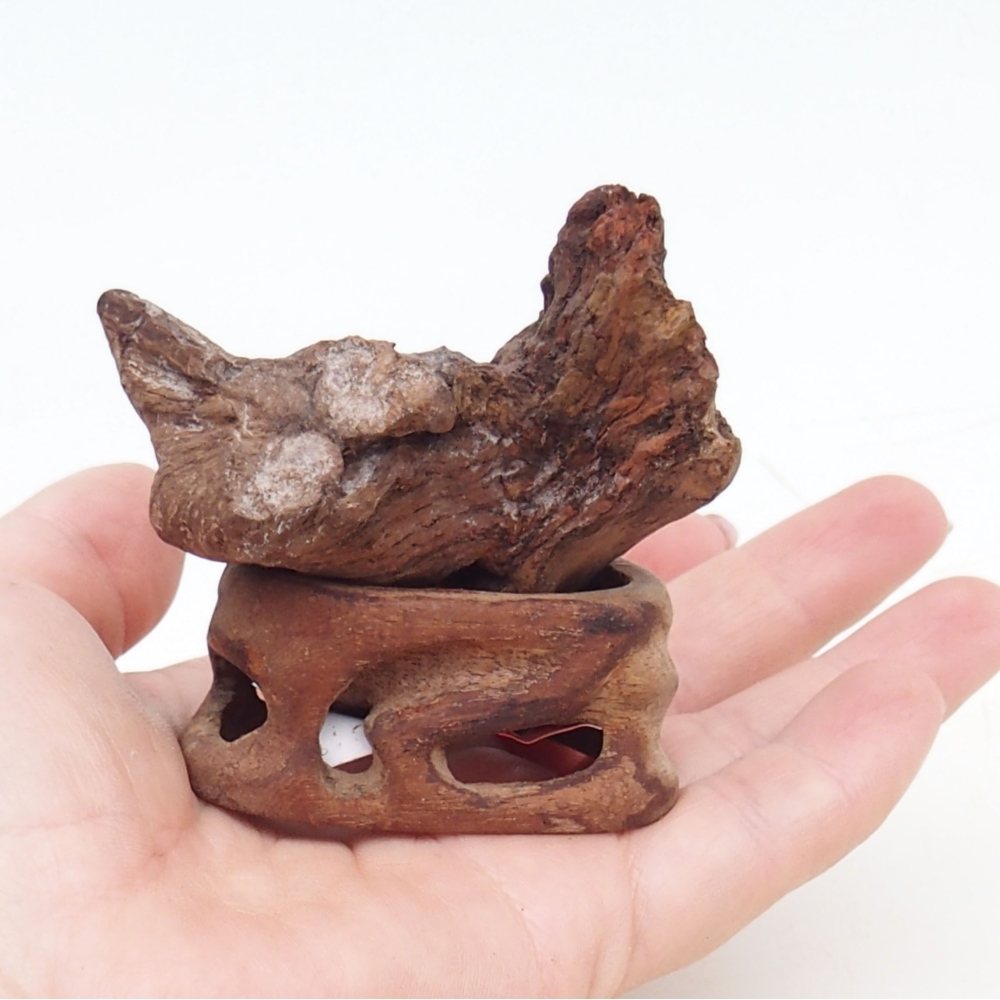 Suiseki - Stone with DAI (wooden pad)