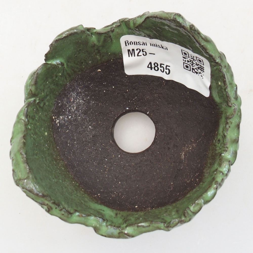 Ceramic shell 7 x 7 x 5 cm, color green